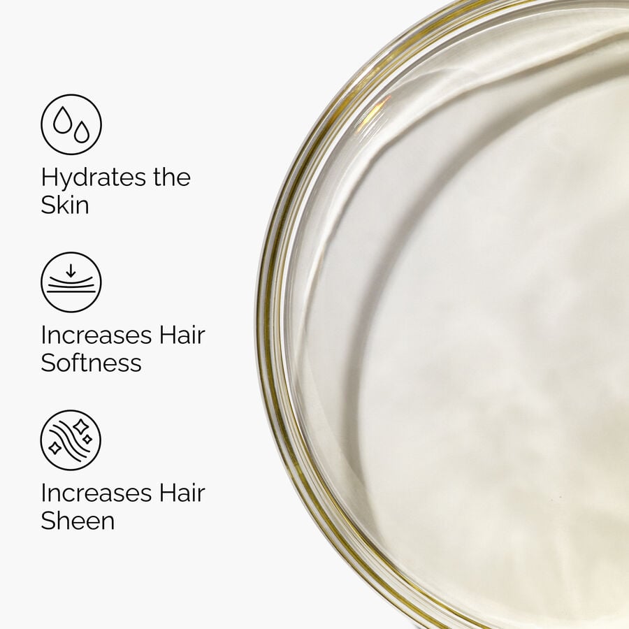100-organic-cold-pressed-moroccan-argan-oil-n6 FY25-D41247-ORD-Web-PDP-100-Argan-Oil-1x1-EN-3.jpg