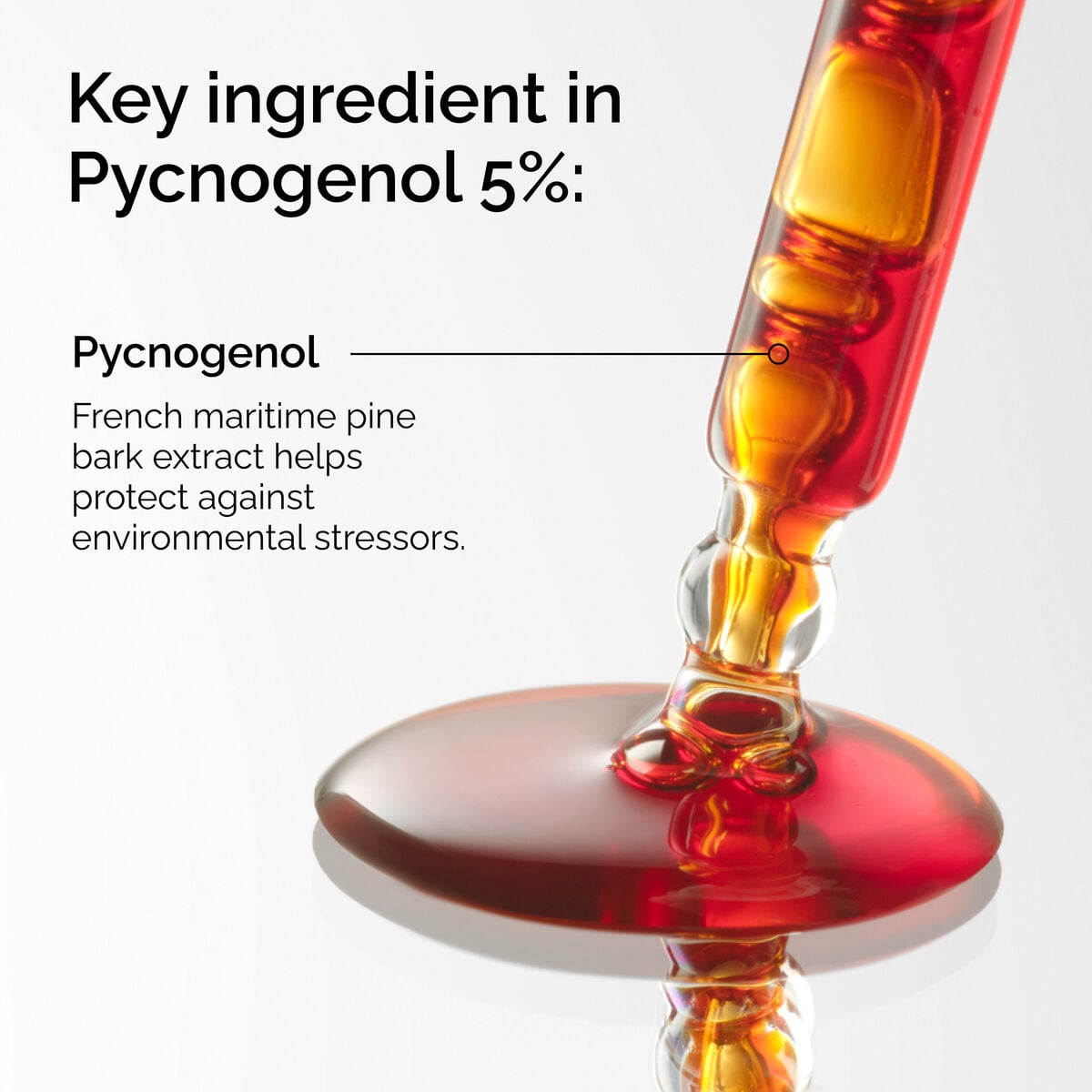pycnogenol-5-d4 FY25-D41247-ORD-Web-PDP-Pyc-5pct-1x1-EN-2a.jpg